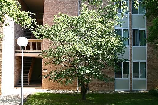 1st image of 5823 Oakwood Dr APT B