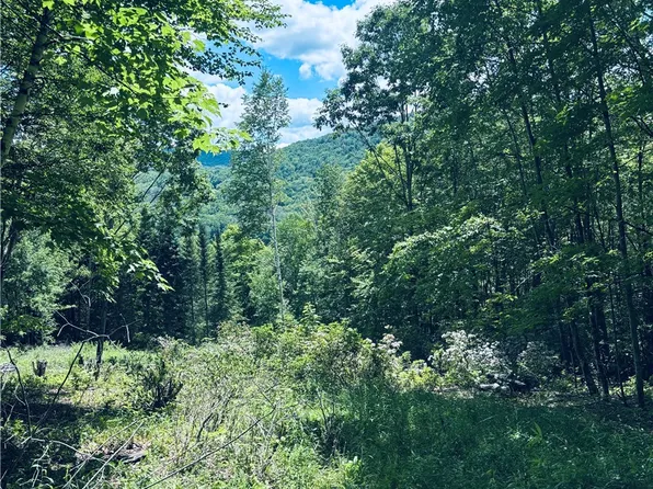 State Highway 30 Lot 1, Andes, NY 13731