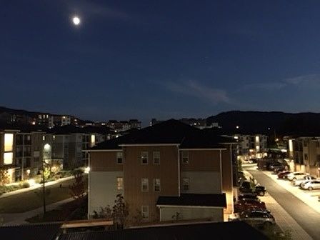 4th image of 930 NE Lilac St APT 205