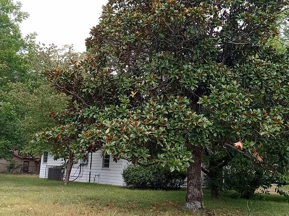 3rd image of 2810 Kenwood Rd