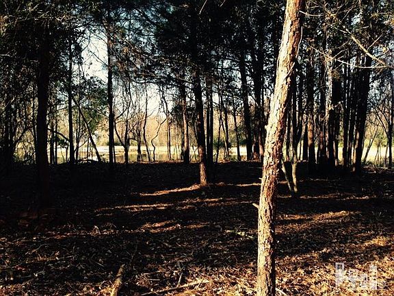 3rd image of 218 Dolphin Circle LOT 218