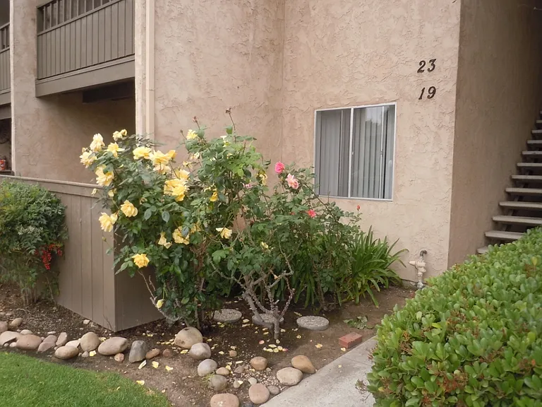 9175 Campina Dr #19 — Photo 16