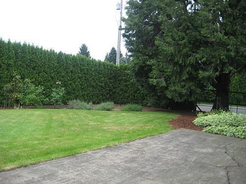 Back yard