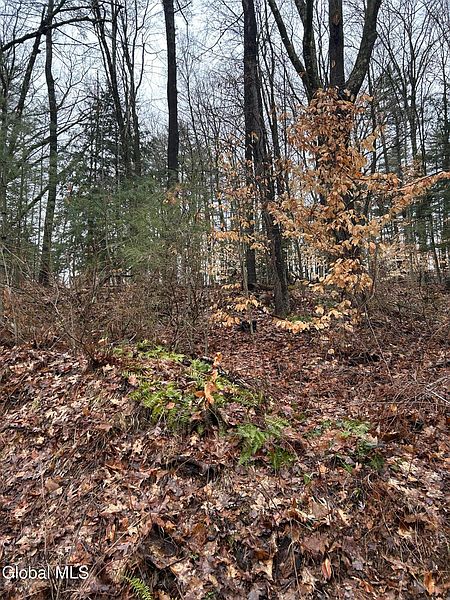 3rd image of 27 S Copeland Pond Way