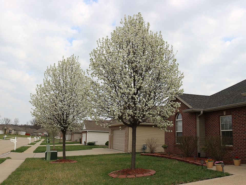 1st image of 5710 Vero Way