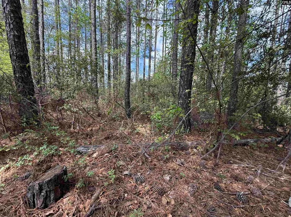 116 High Pointe Dr, Blythewood, SC 29016