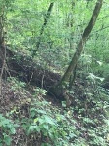 Wildcat Ridge Rd, Sevierville, TN, 37862