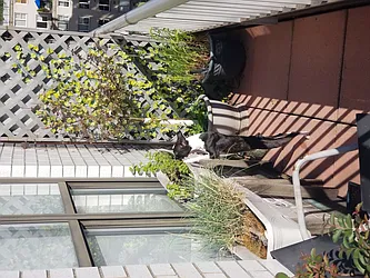 Rented by Owner