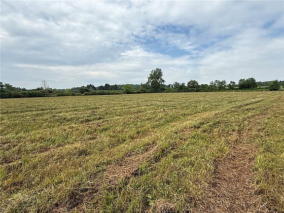 3rd image of Halseyville Rd Lot 32