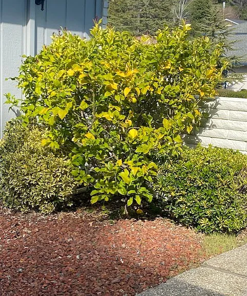 3404 Glendora Dr — Photo 9
