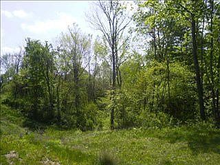 4th image of 109 Redstone Ct