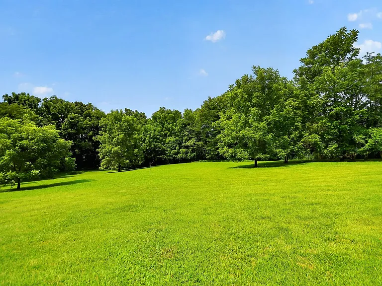 1658 Sparkleberry Dr — Photo 17