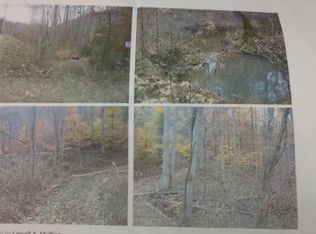 Snake Hollow Rd, Sneedville, TN 37869