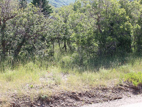 2nd image of 2267 S High Mountain Dr