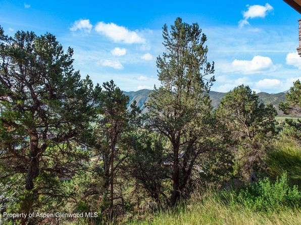 404 Wild Spring Ln, Basalt, CO 81621