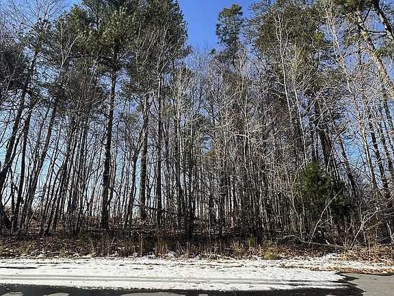 2nd image of 0 Pierce Denny Rd