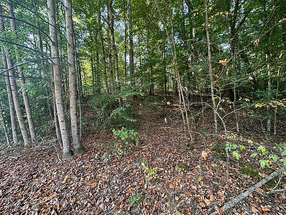 4th image of 871 Margerum Rd #2