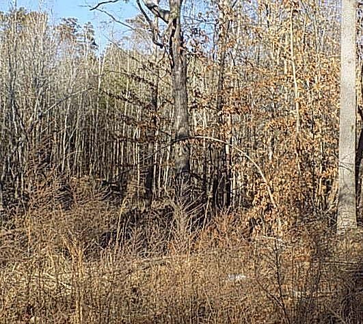 1st image of 14 Grandimere Dr