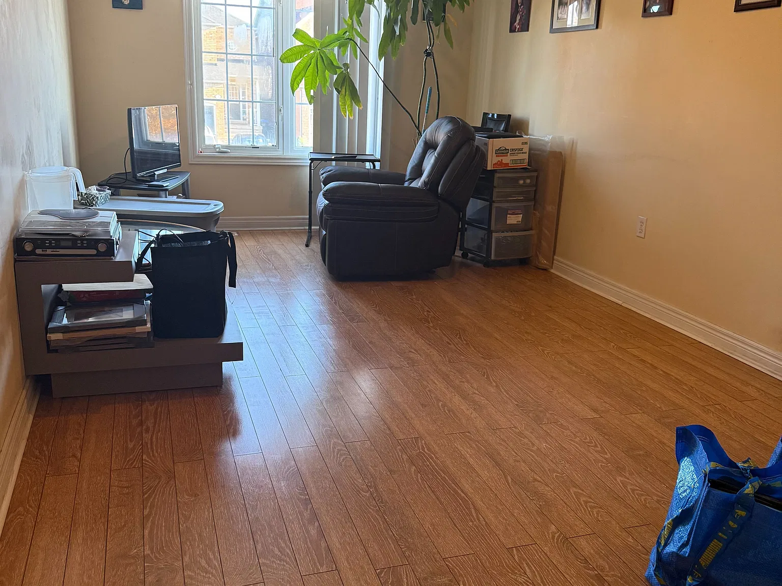 3 bed, $3,800 — Photo 2