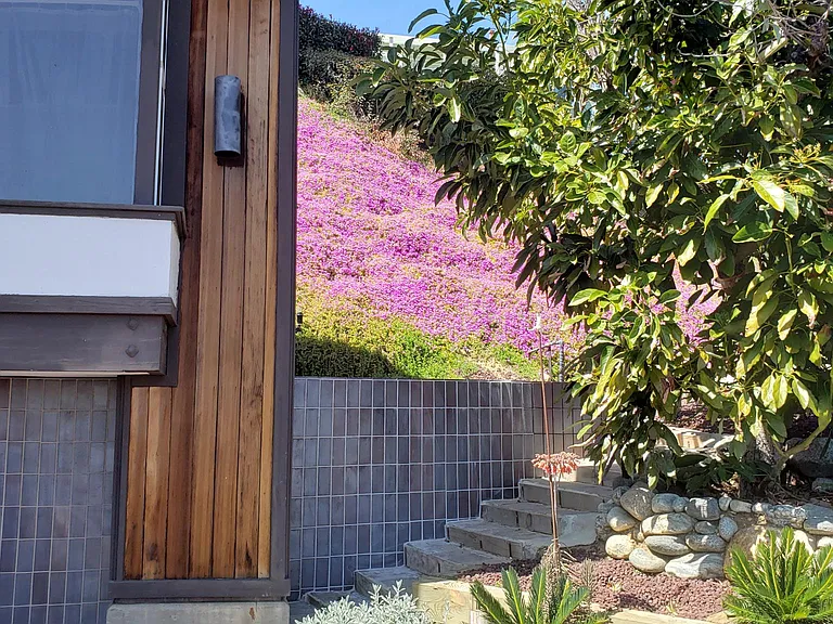 3600 Turnbull Canyon Rd — Photo 32