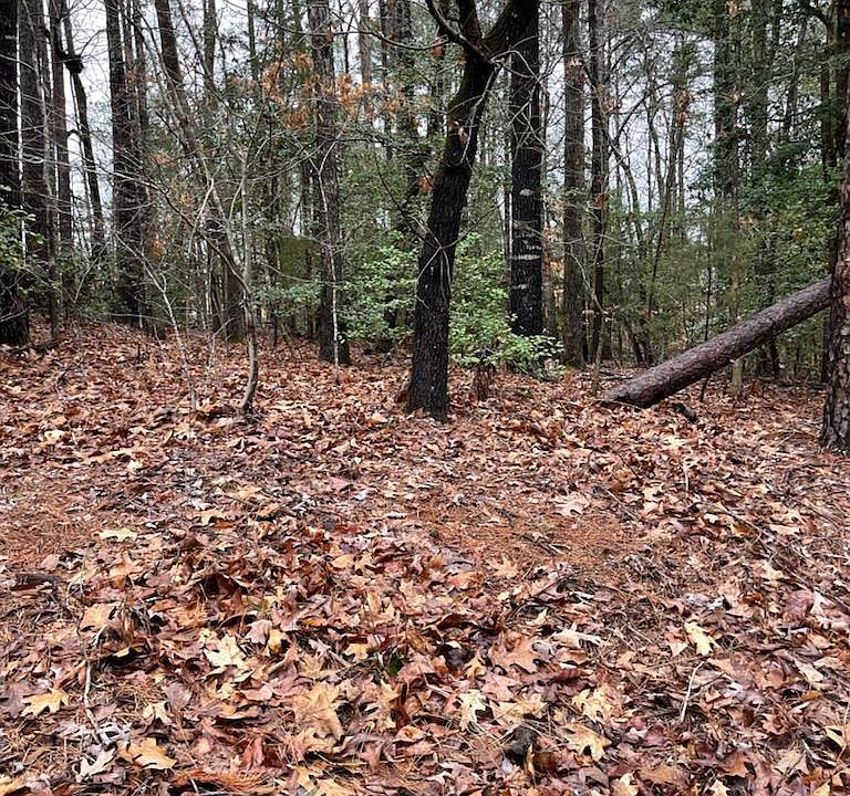 1st image of 24 Chestnut Dr