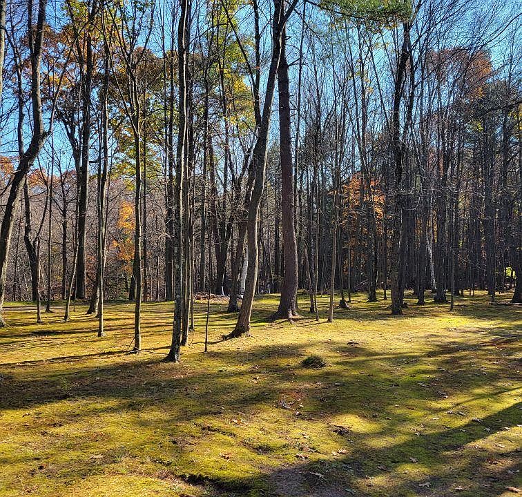 1st image of Lot 2A State Route 9P