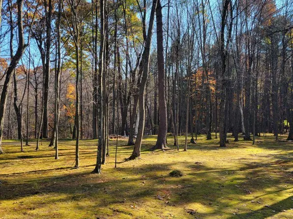 Lot 2A State Route 9P, Malta, NY 12020