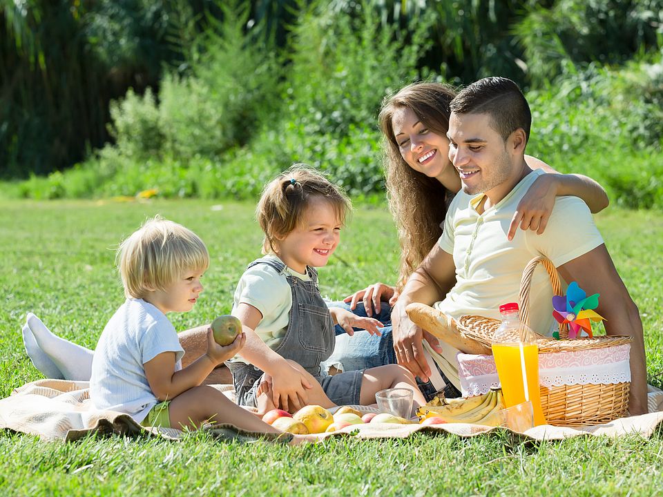 family picnic_458670019