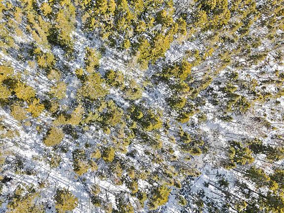 3rd image of Kingsburg Rd