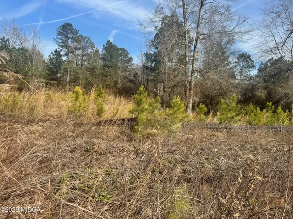 411 Big Oak Cir, Lizella, GA 31052