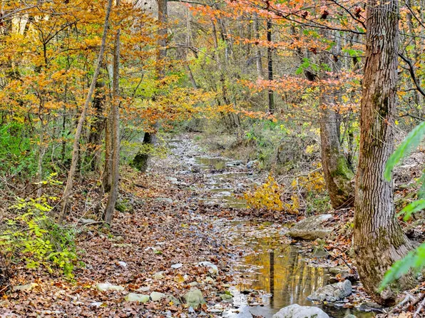 0 Rock House Hollow Rd, Westmoreland, TN 37186