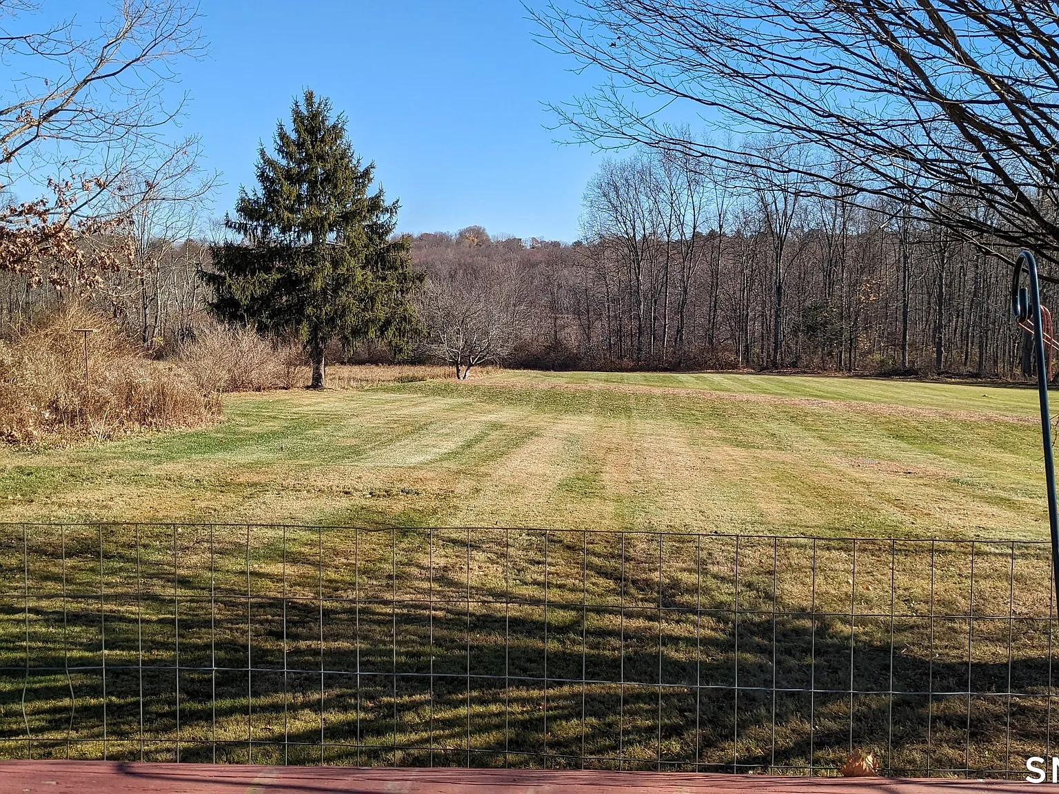 2 bed, 1.0 bath, 1290 sqft, $3,000 — Photo 4