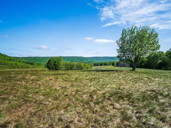 7 High Meadow Dr, Davis, WV 26260