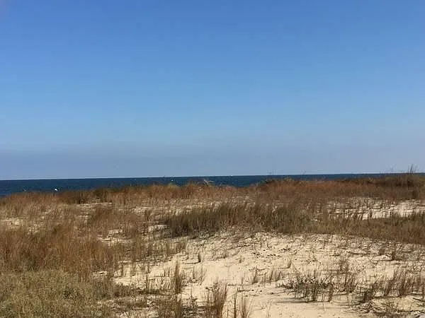 Close to the beach