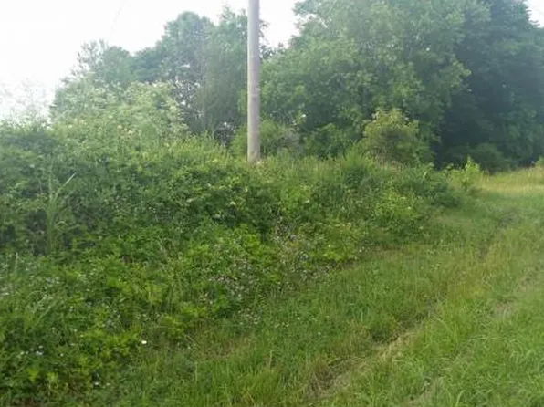 11 Highway 11e, Limestone, TN 37681
