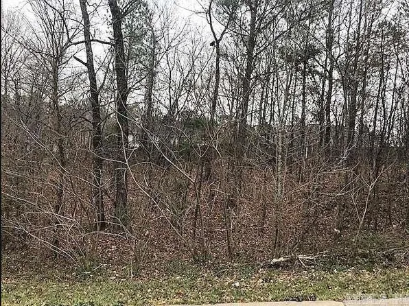 2512 Volcanic Dr, Benton, AR 72019