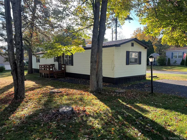 20 Laura Jean Lane, Wurtsboro, NY 12790