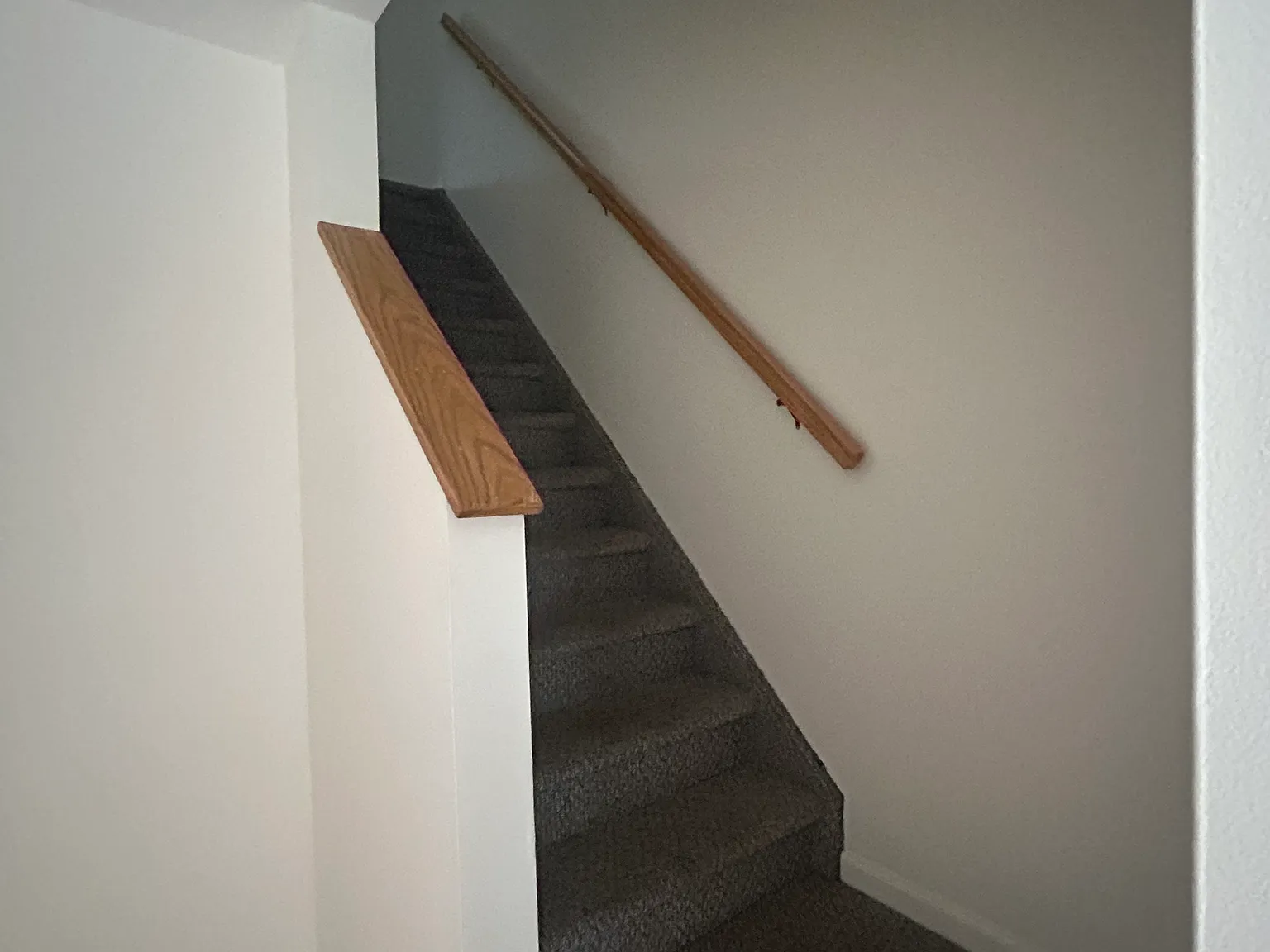 2 bed, 1.5 bath, $3,500 — Photo 1