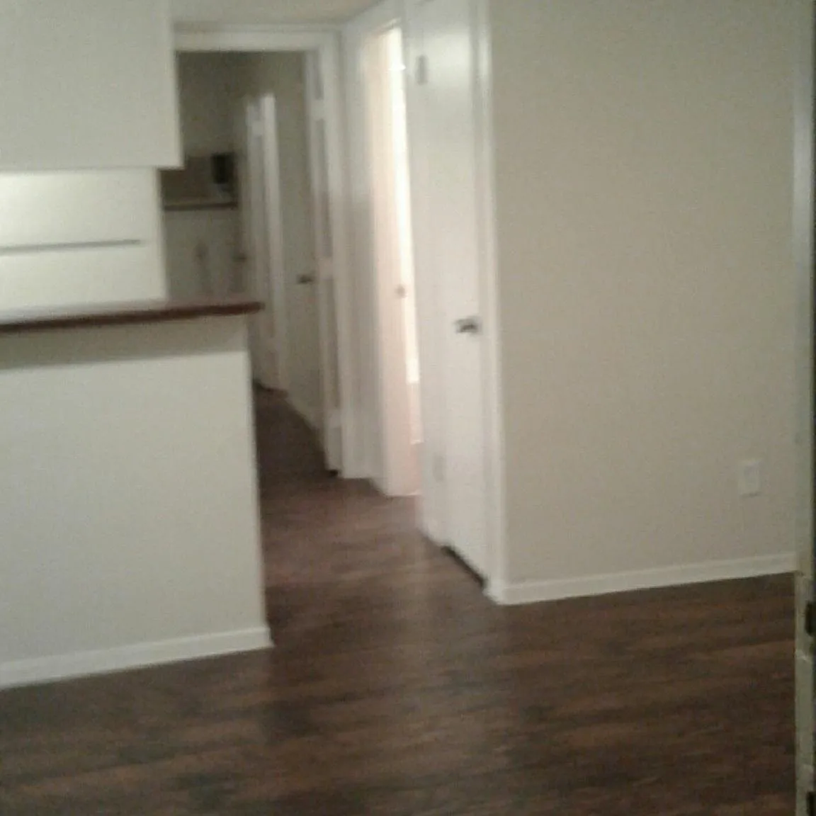 1 bed, 530 sqft, $800 — Photo 2
