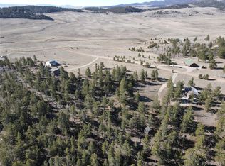 59 Whip Way, Hartsel, CO 80449