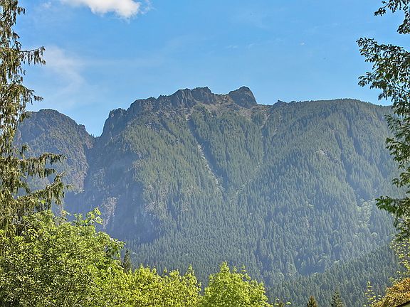 Mount Si view from your lot!