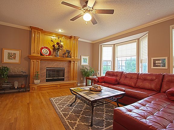 Family Room - Fireplace