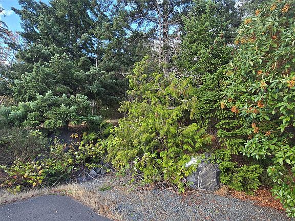 3rd image of 7701 NHN State Route 20