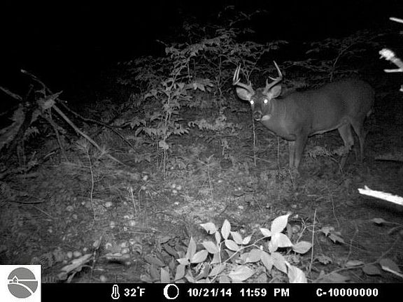 2nd image of SE East Trl