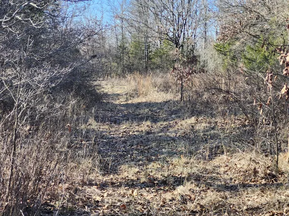 000 Tbd H Higway, Manes, MO 65711