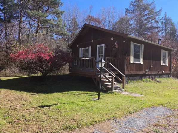 119 Mineral Springs Road, Livingston Manor, NY 12758