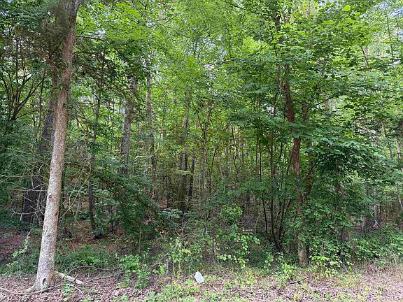 4th image of 9 Rose Creek Rd