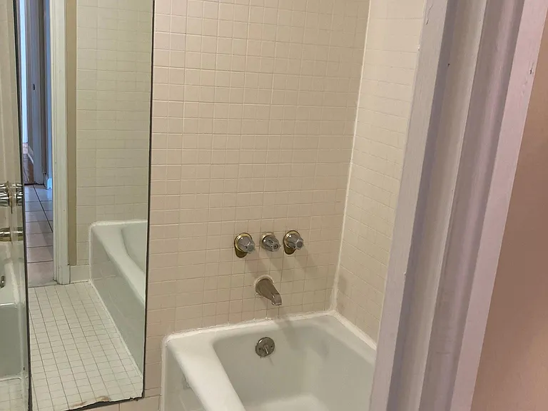 Master bath Shower