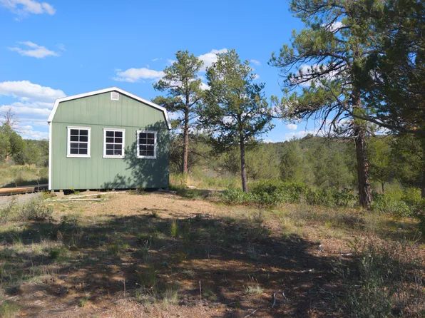 13115 Silver Spruce Cir Lot 297, Weston, CO 81091