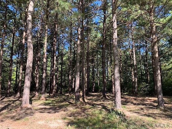 5th image of 230 Plumtree Circle LOT 195